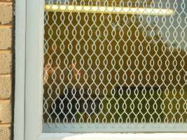 Window Guard Grill